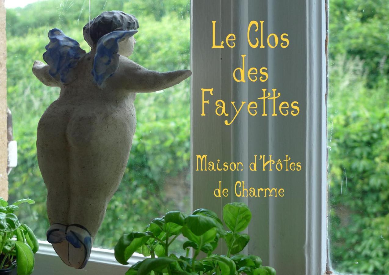 Le Clos Des Fayettes Theize エクステリア 写真