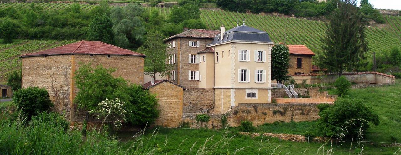 Le Clos Des Fayettes Theize エクステリア 写真