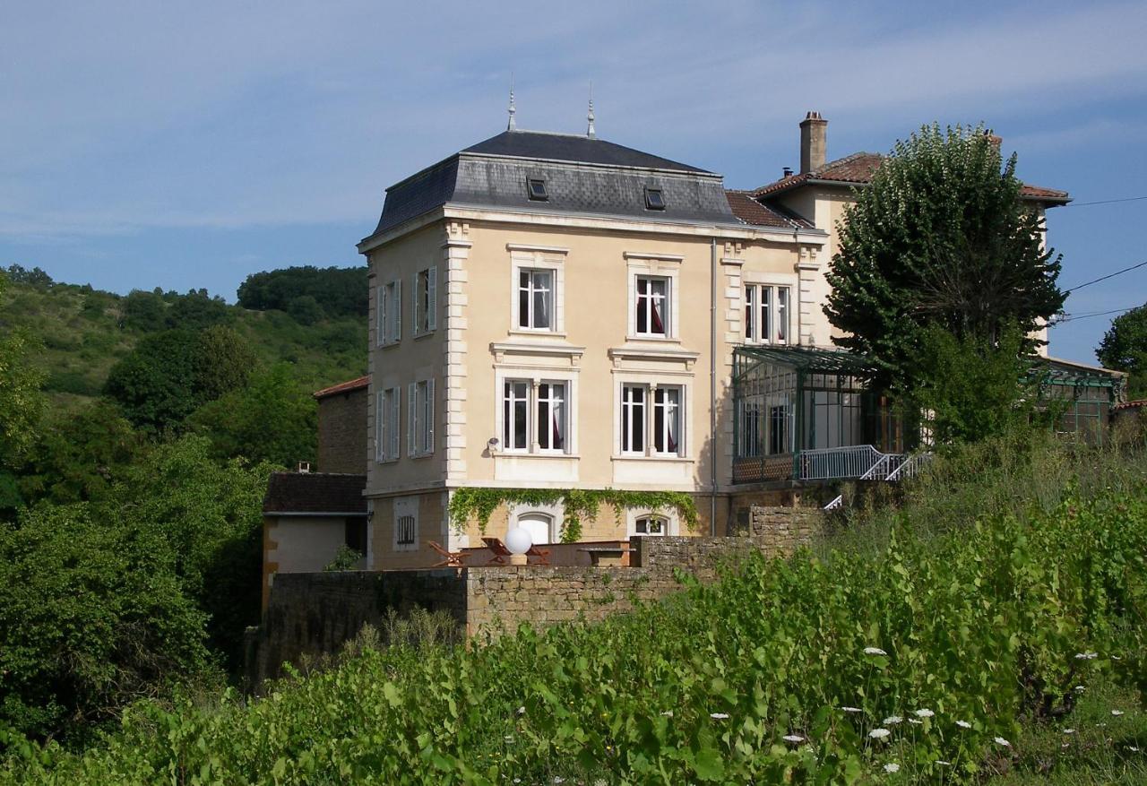 Le Clos Des Fayettes Theize エクステリア 写真